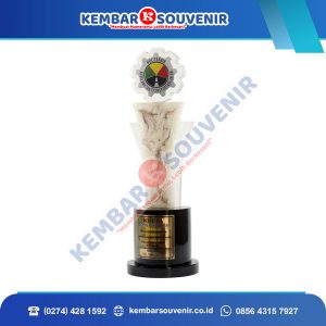 Piala Custom Kabupaten Ogan Komering Ilir