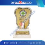 Plakat Trophy Kota Sibolga