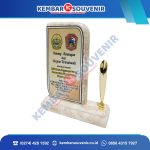 Model Piala Akrilik Pemerintah Kabupaten Mimika