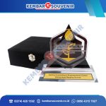 Piala Akrilik Murah Kabupaten Tanjung Jabung Timur