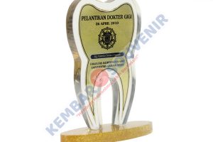 Piala Acrylic STISIP Yupentek Tangerang
